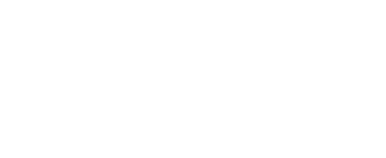 Castle Water Logo
