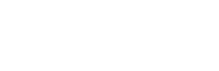 Skyports Logo